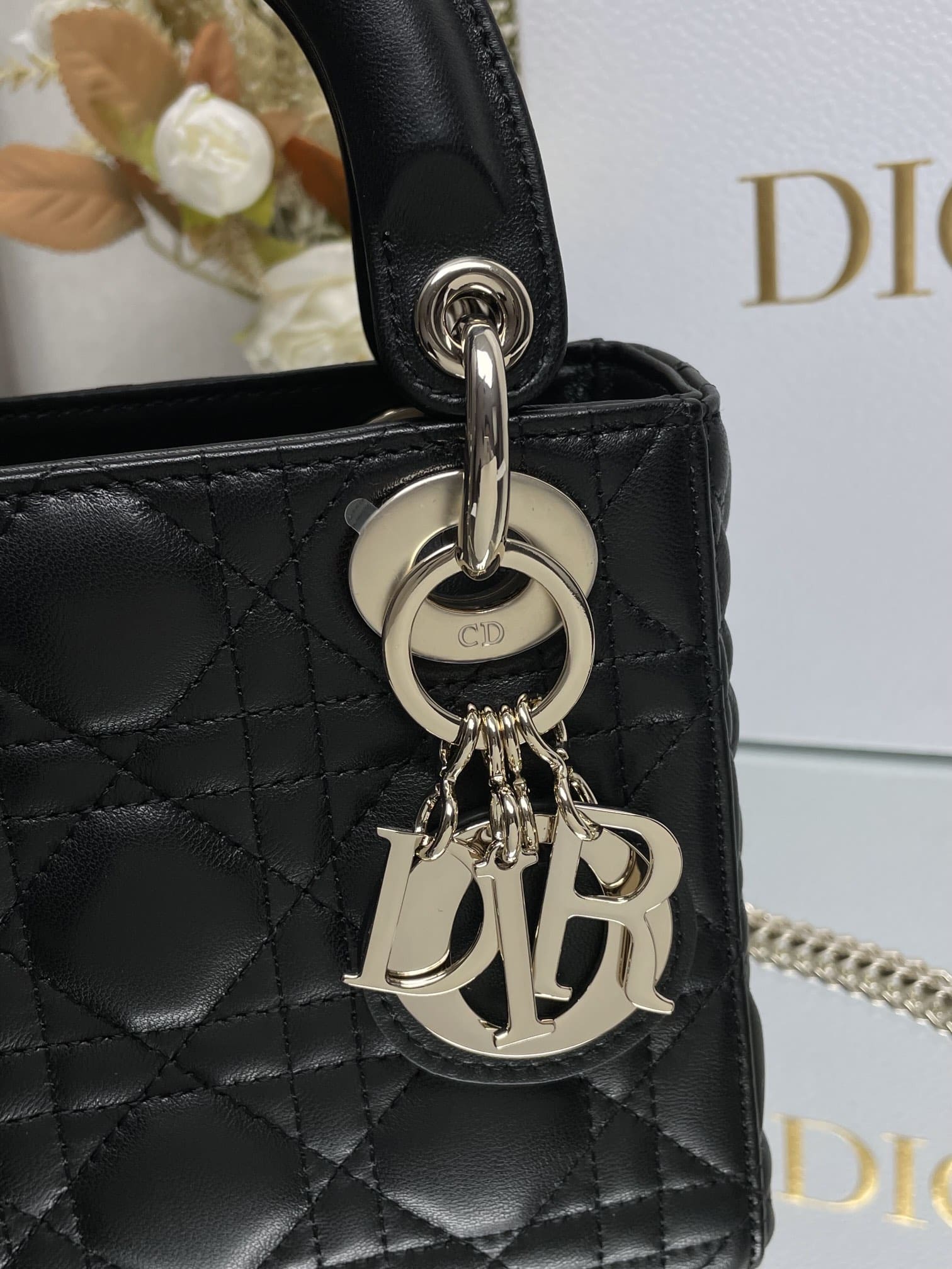 mini Lady Dior Bag