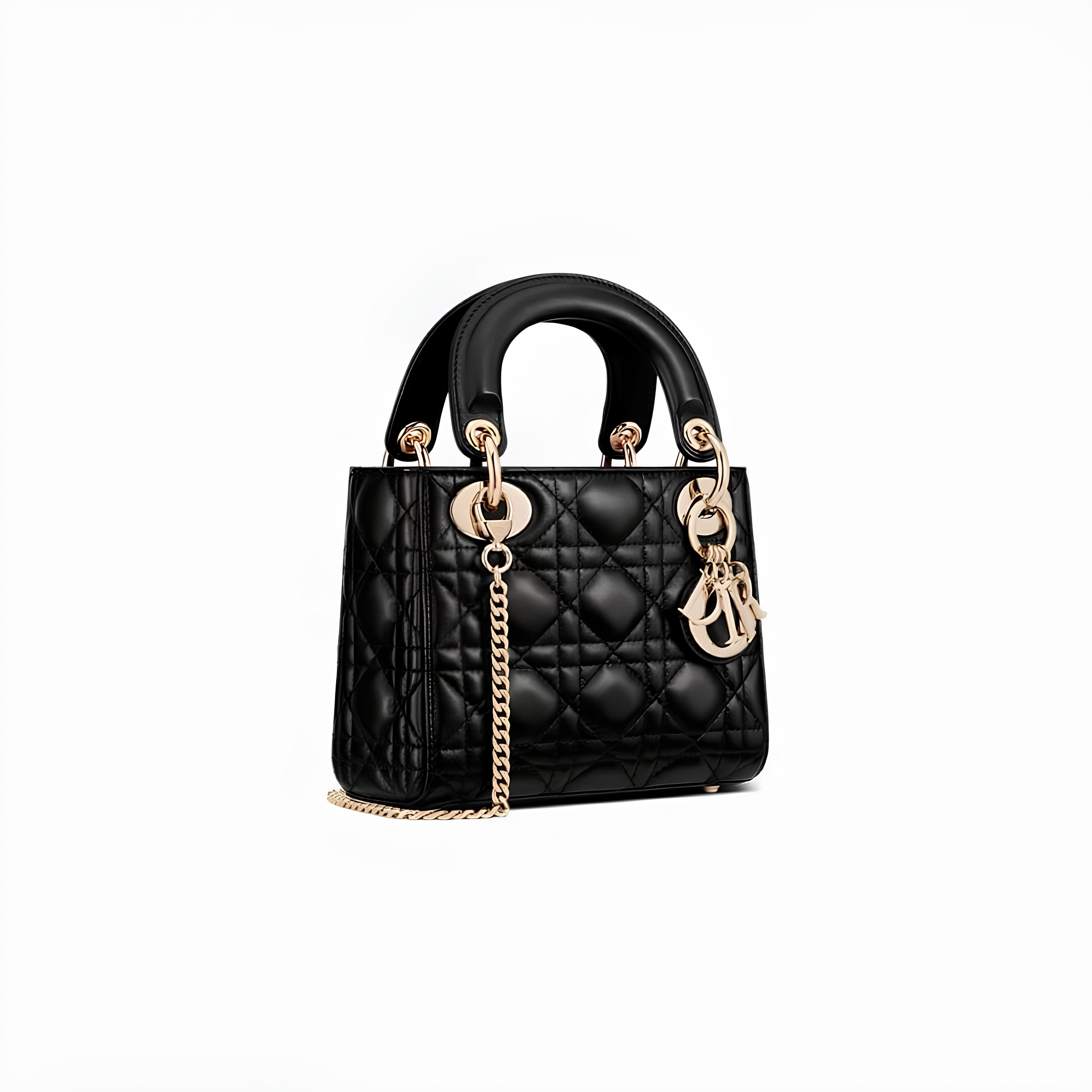 mini Lady Dior Bag