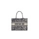 Dior Book Tote Bag