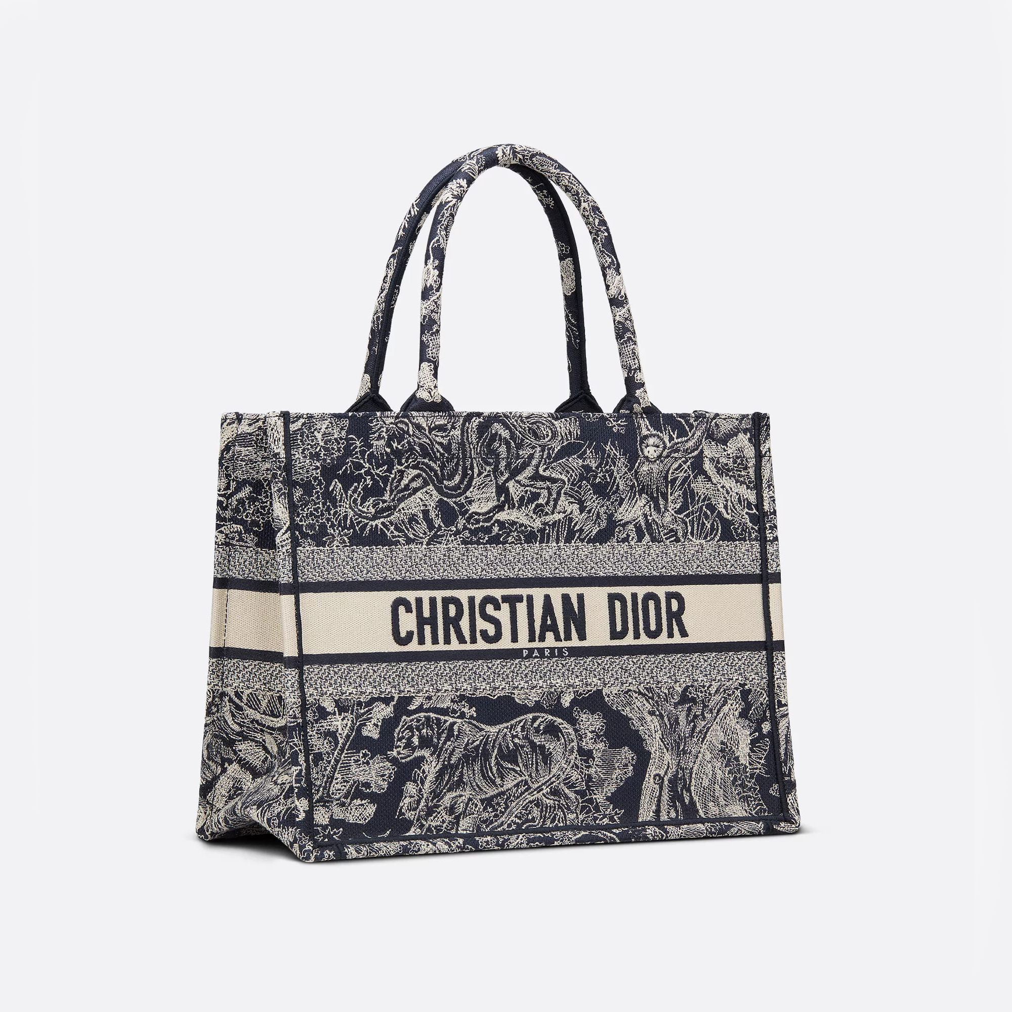 Dior Book Tote Bag