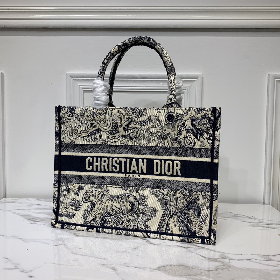 Dior Book Tote Bag