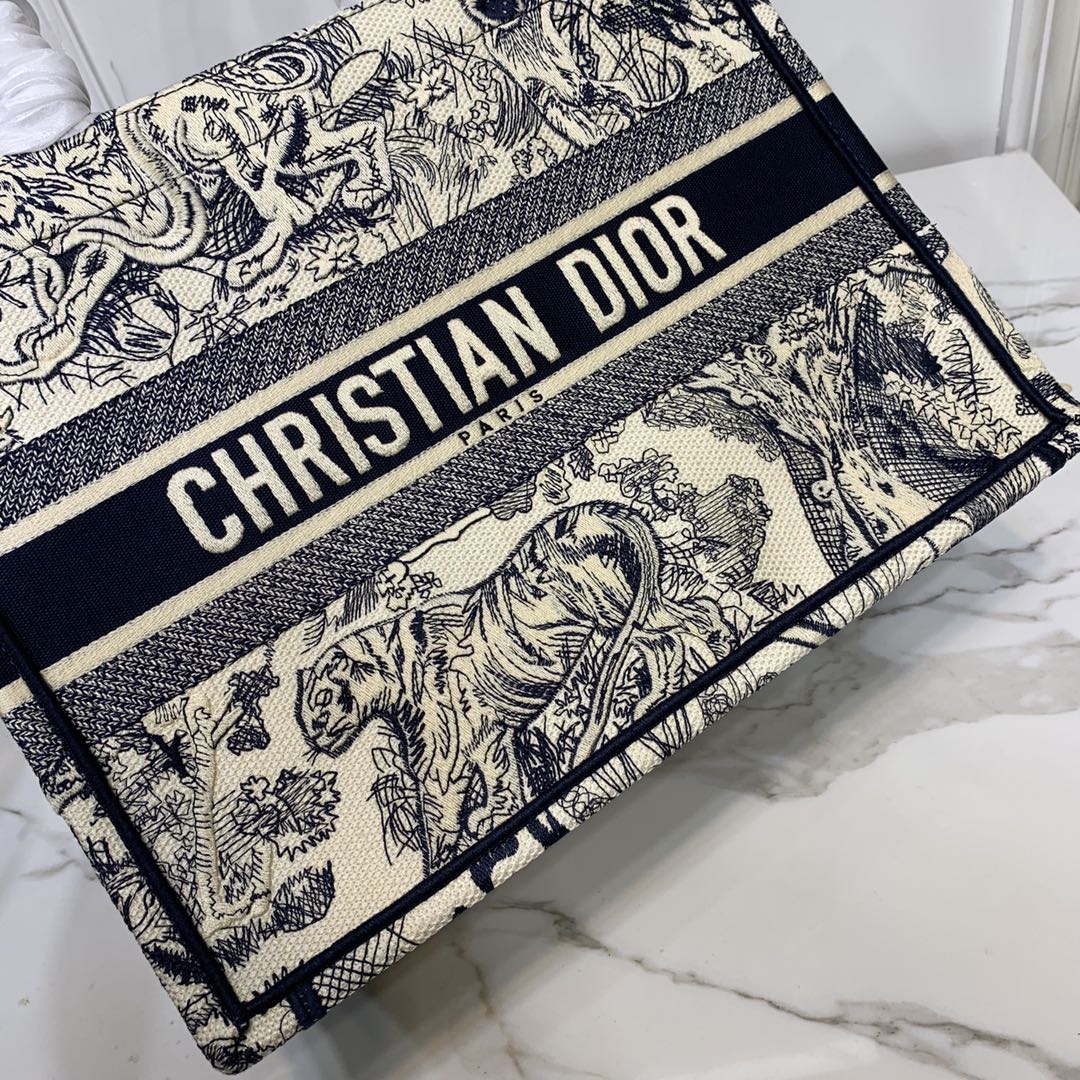 Dior Book Tote Bag