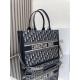 Medium Dior Book Tote Bag