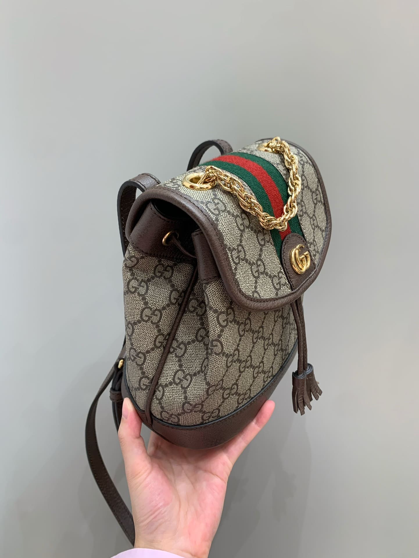 Gucci Ophidia mini backpack