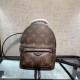 LOUIS VUITTON Palm Springs Mini