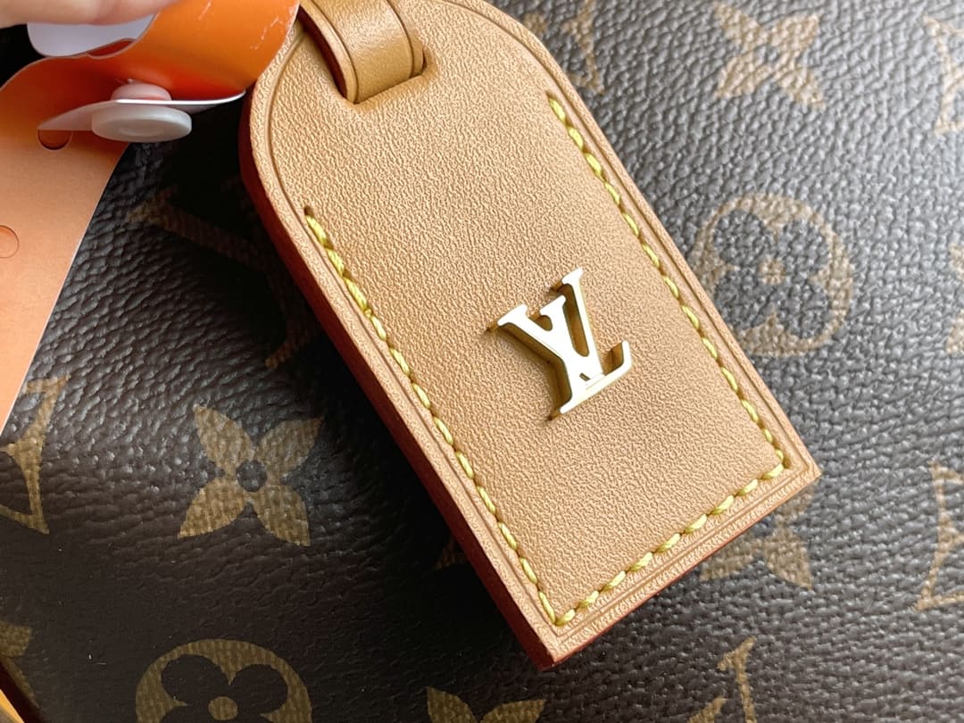 LOUIS VUITTON  CarryAll MM Monogram