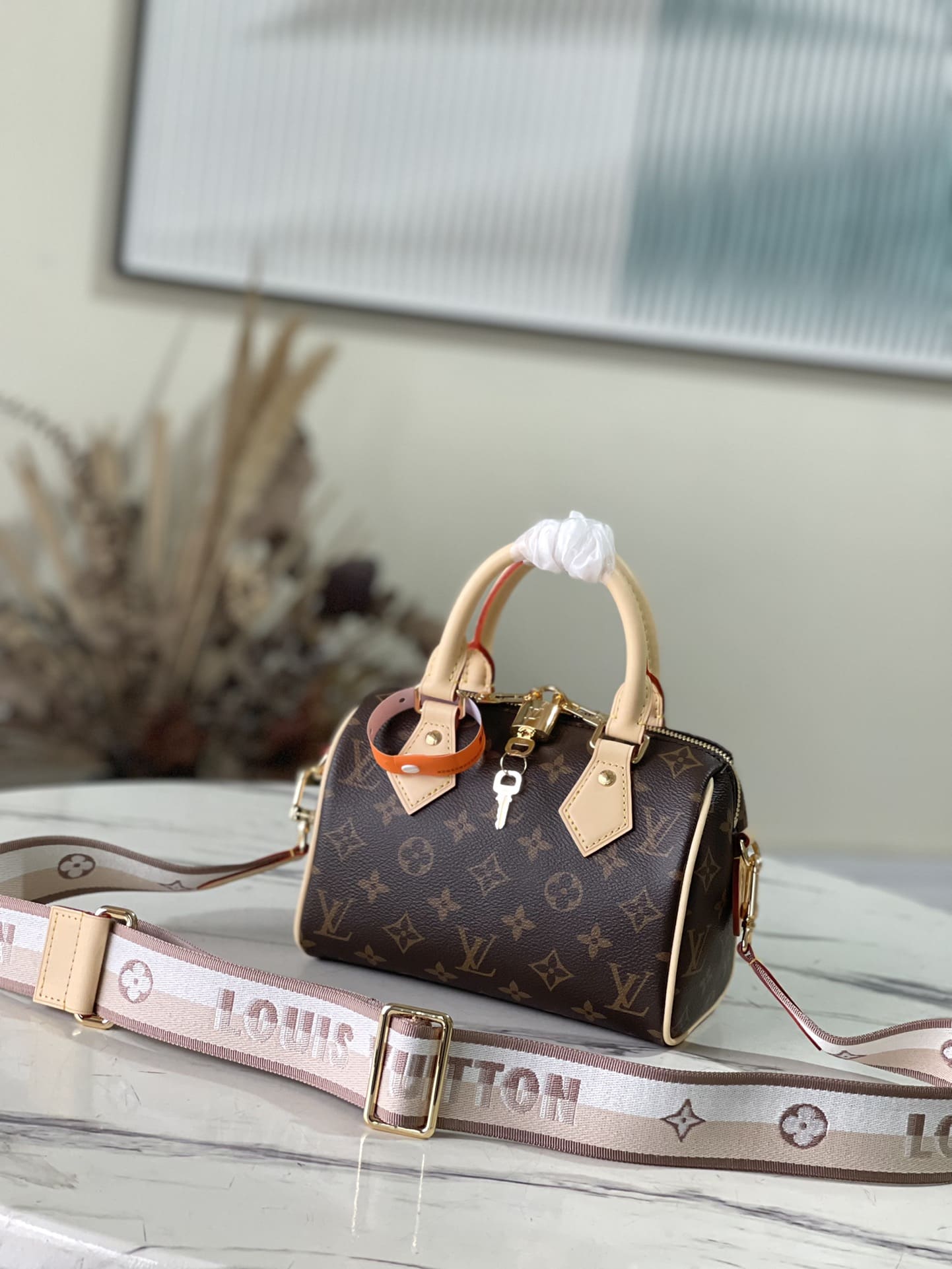 LOUIS VUITTON Speedy Bandoulière 20